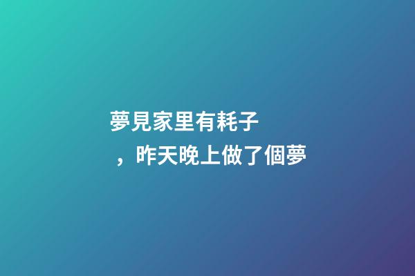 夢見家里有耗子，昨天晚上做了個夢